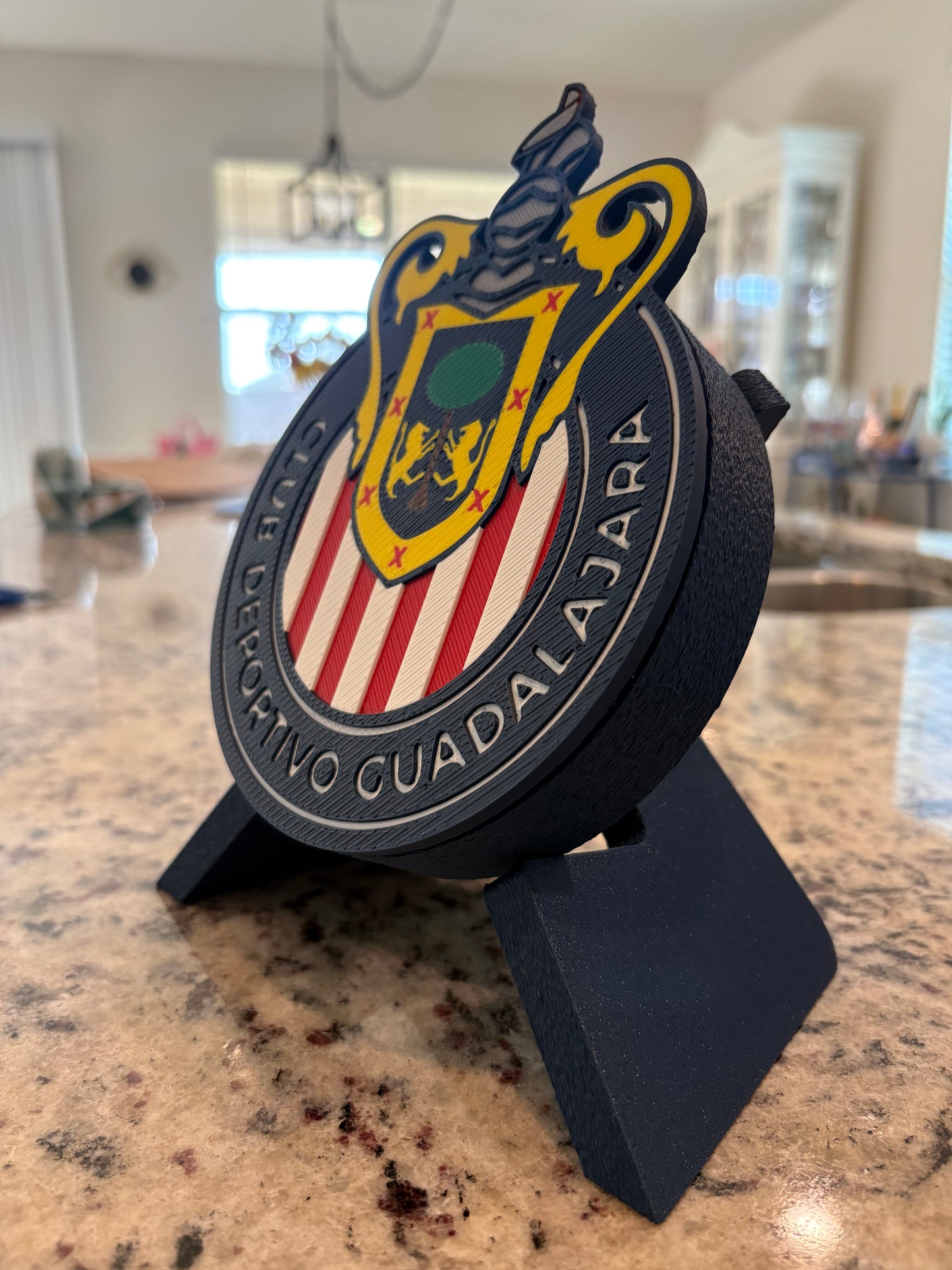 Chivas de Guadalajara 3D Printed Decorative Box