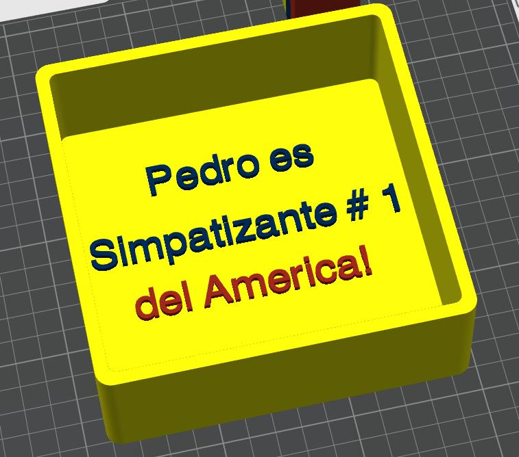 Club America 3D Printed Storage Box | Soccer Fan Gift Made in USA