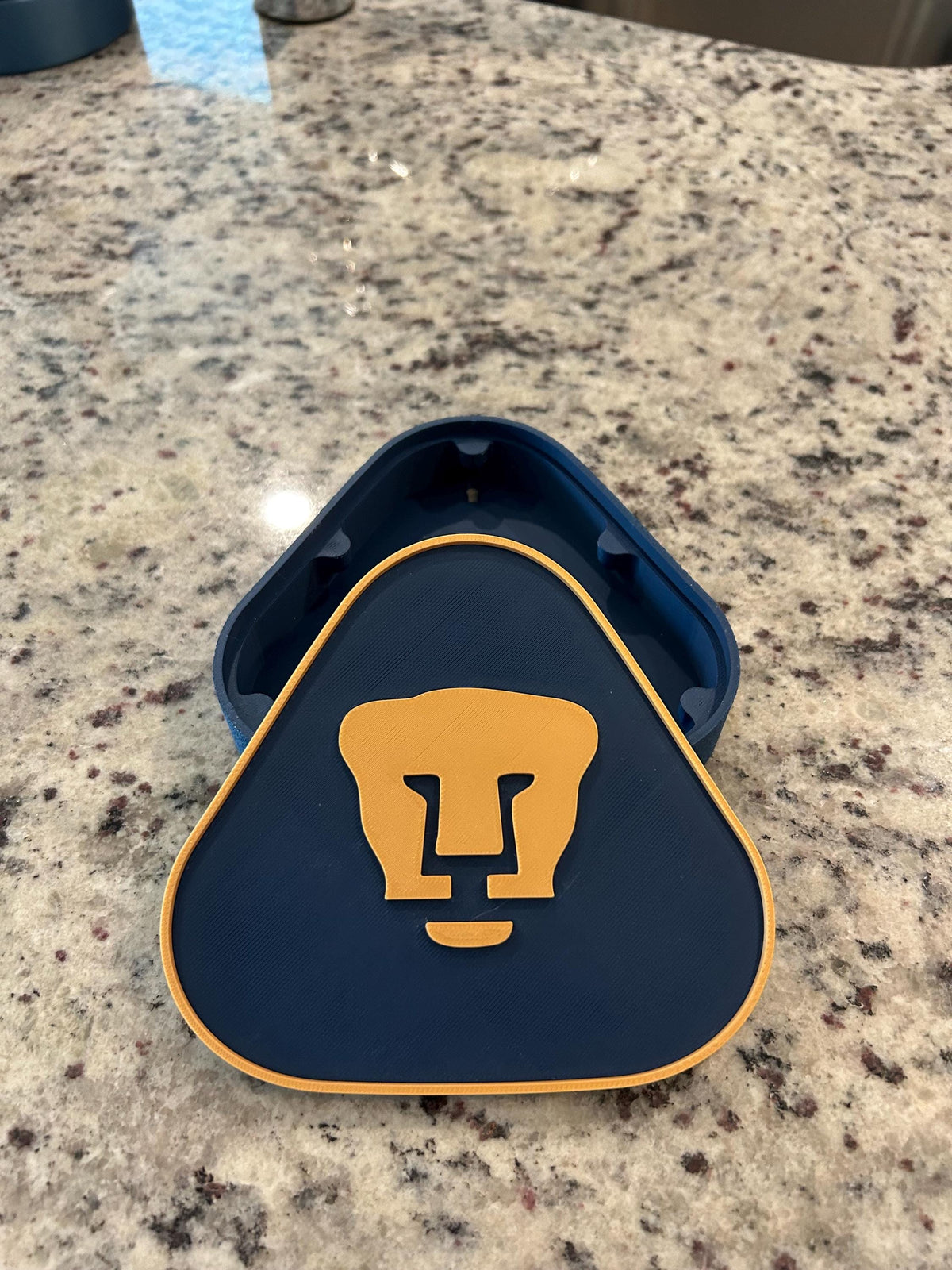 Custom 3D Printed Soccer Team Plaque, Personalized Futbol Crest Display