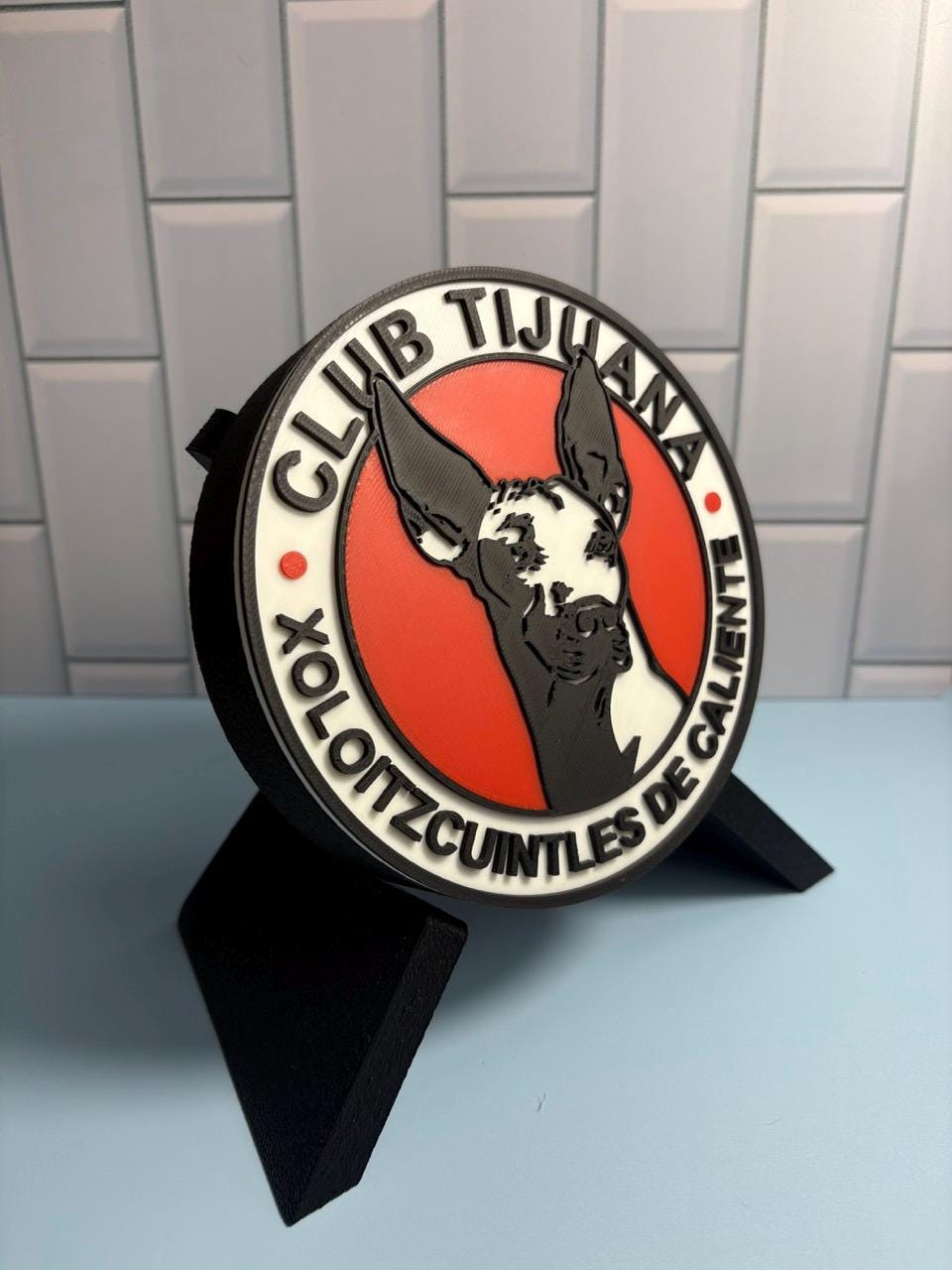 Custom 3D Printed Soccer Team Plaque, Personalized Futbol Crest Display