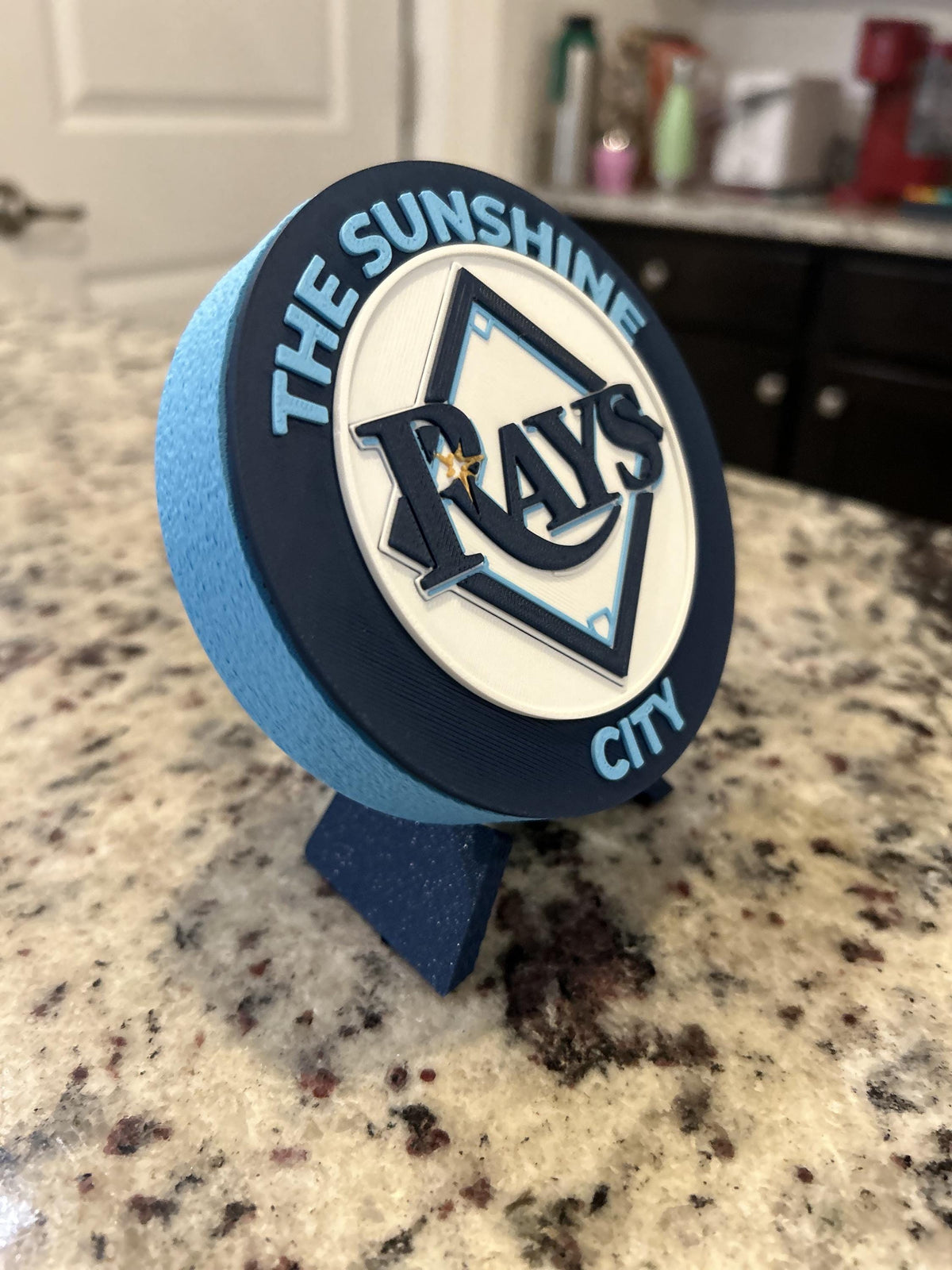 Tampa Bay Rays 3D printed round display medallion with stand and hidden stash boxSunshine City MLB baseball fan gift, made in USA