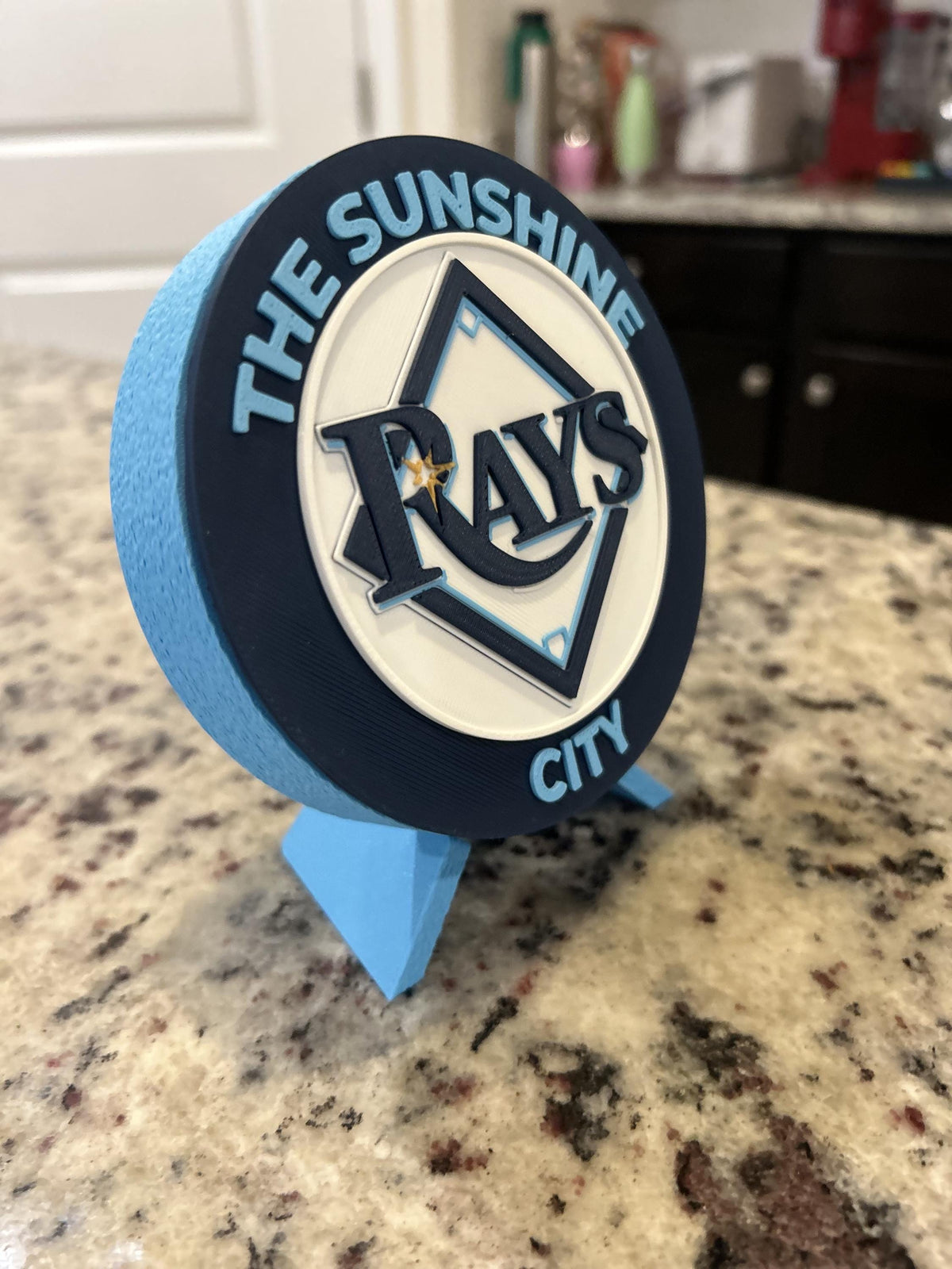 Tampa Bay Rays 3D printed round display medallion with stand and hidden stash boxSunshine City MLB baseball fan gift, made in USA