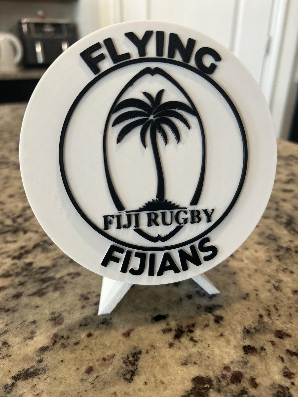 Fiji rugby Flying Fijians 3D printed palm-tree crest roundel with black base and stand and hidden stash box, personalized rugby fan gift, made in USA