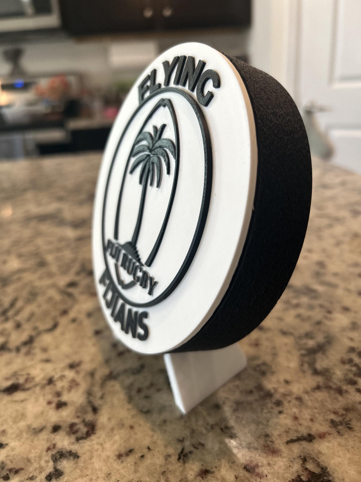Fiji rugby Flying Fijians 3D printed palm-tree crest roundel with black base and stand and hidden stash box, personalized rugby fan gift, made in USA