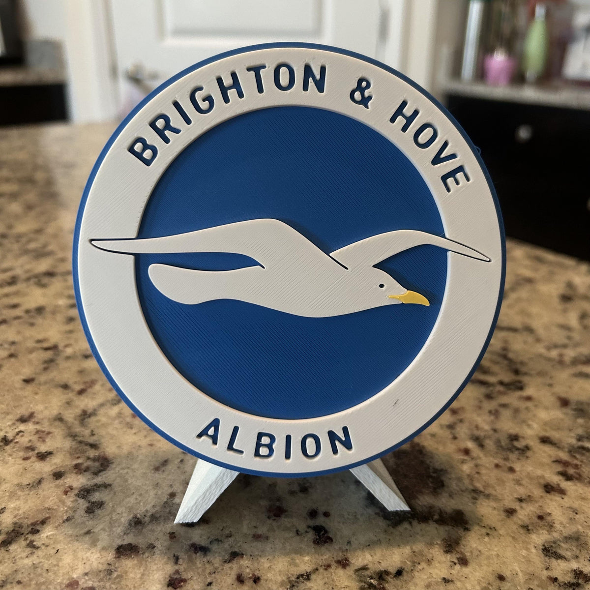 3D Printed Brighton & Hove Albion Crest Display with stand; 3D printed fan gift, made in USA