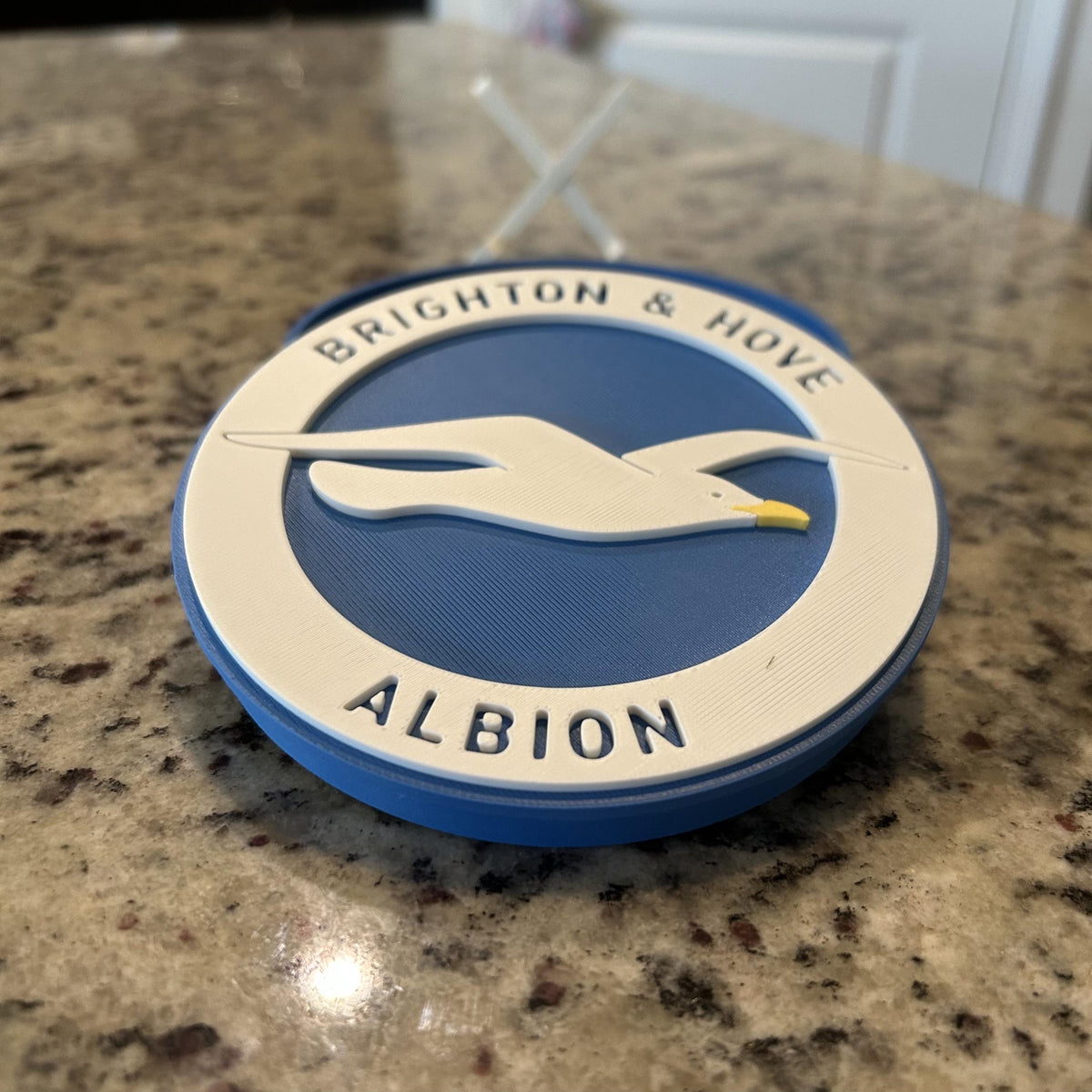 3D Printed Brighton & Hove Albion Crest Display with stand; 3D printed fan gift, made in USA