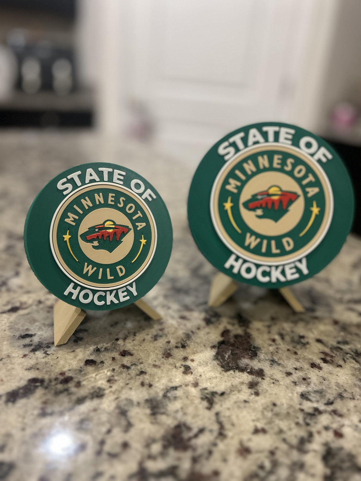 3D Printed Minnesota Wild Personalized Roundel Display & Stash Box with stand; 3D printed fan gift, made in USA