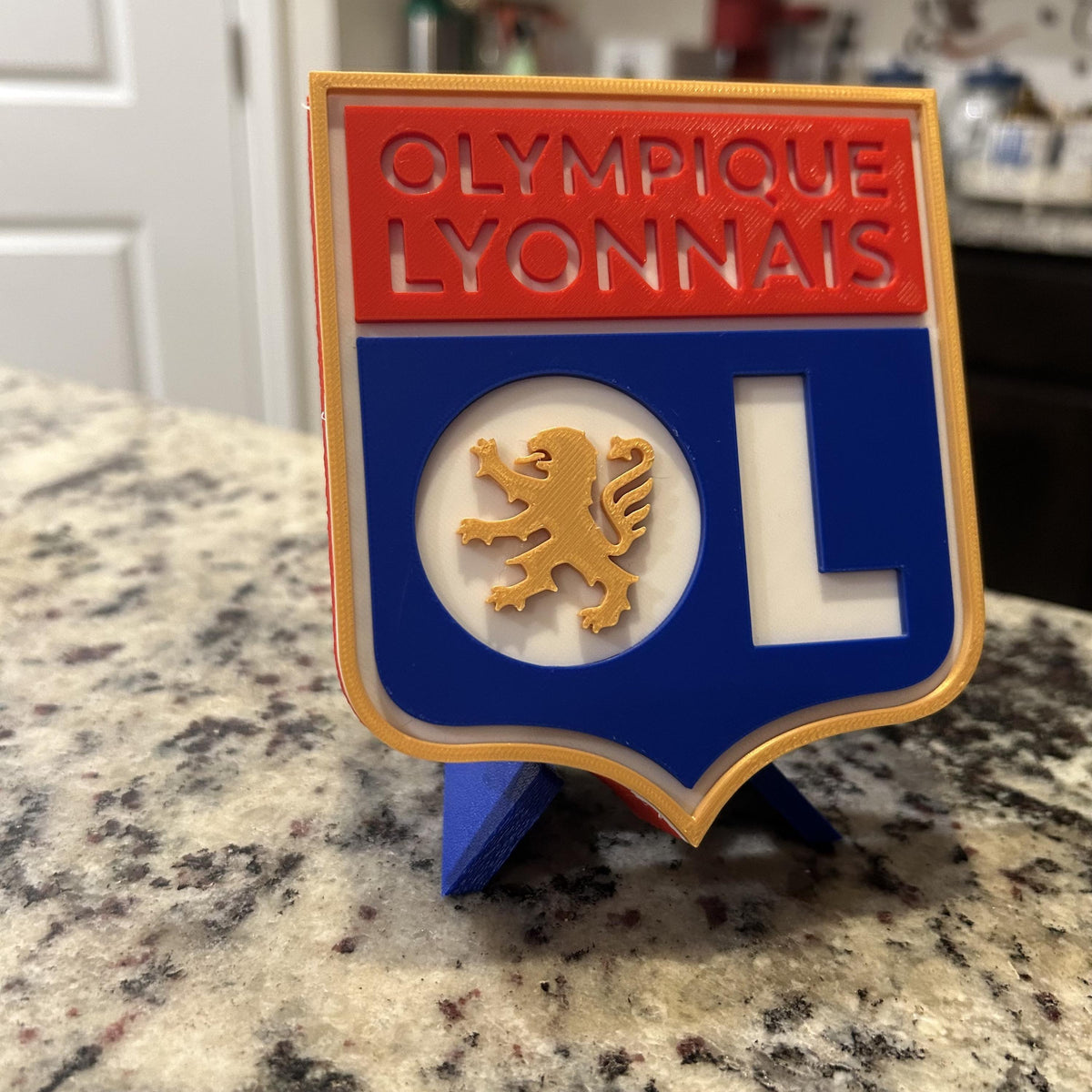 Olympique Lyonnais 3D Crest Display with Stand & Stash Box; 3D printed fan gift, made in USA